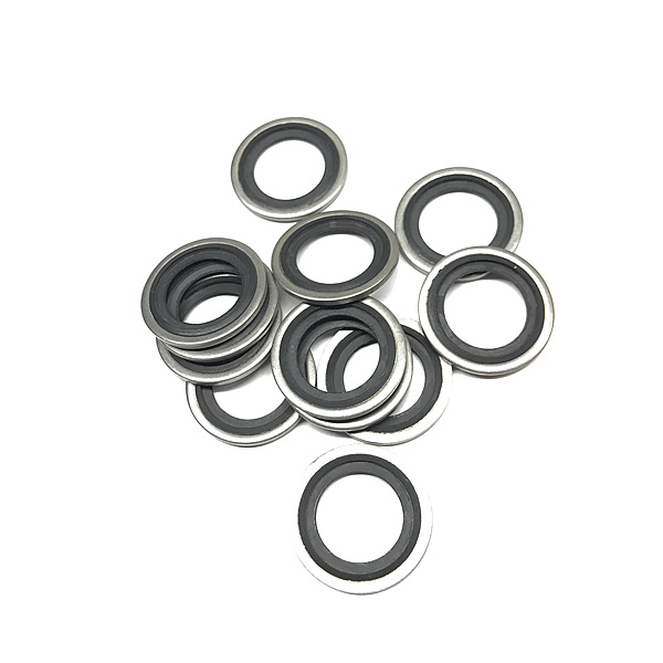 Made in China Wholesale Stainless Steel Rubber NBR Bonded Seals